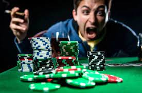Зеркало Kaktuz Casino